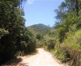 Mount Lewis National Park - Tourism Search 2