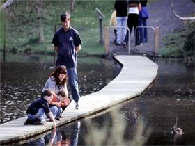 Valley Lake Conservation Park - Tourism Search 2