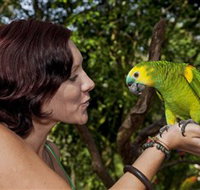 Birdworld Kuranda - Tourism Search