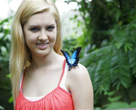 Australian Butterfly Sanctuary - Tourism Search 0