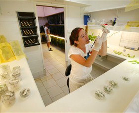 Australian Butterfly Sanctuary - Tourism Search 2