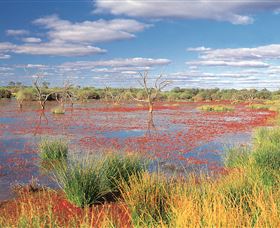 Adventure Way - Tourism Search 3