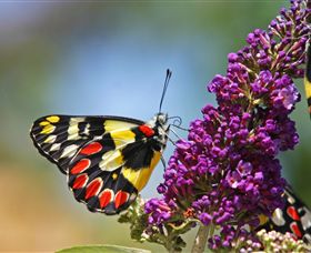 The Bible Museum - Tourism Search 3