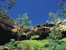 Blackdown Tableland National Park - Tourism Search 1
