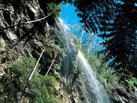 Blackdown Tableland National Park - Tourism Search 2