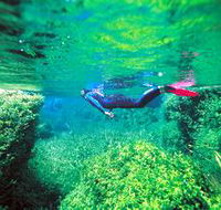 Piccaninnie Ponds Conservation Park - Tourism Search