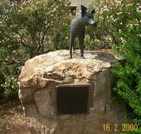 Dingo Statue - Tourism Search