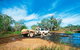 Rinyirru (Lakefield) National Park (CYPAL) - thumb 0