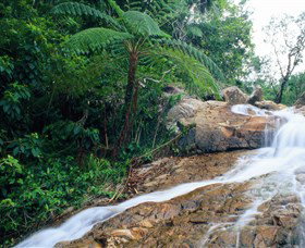 Finch Hatton Gorge - Tourism Search 0