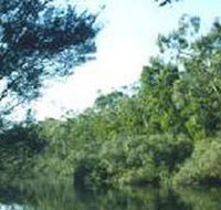 Crawford River Regional Park - Tourism Search