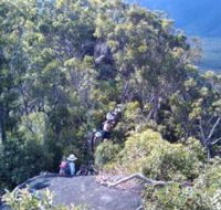 Mia Mia State Forest - Tourism Search