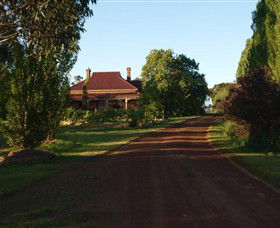 Pierrepoint Wines Cellar Door - Tourism Search 0