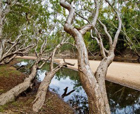 Oyala Thumotang National Park (CYPAL) - Tourism Search 0