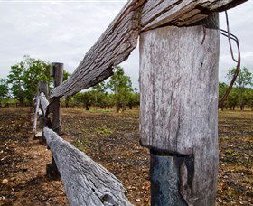 Oyala Thumotang National Park (CYPAL) - Tourism Search 1
