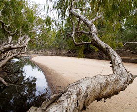 Oyala Thumotang National Park (CYPAL) - Tourism Search 3