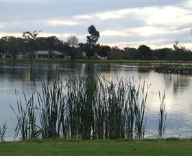 Luke Park - Tourism Search 2