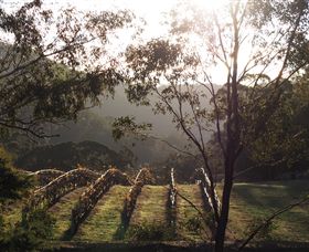 Mountainside Wines - Tourism Search 3