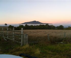 Mountainside Wines - Tourism Search 2