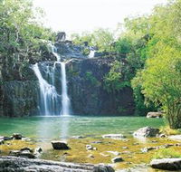 Cedar Creek Falls - Tourism Search