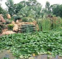 Mackenzie Park - Tourism Search