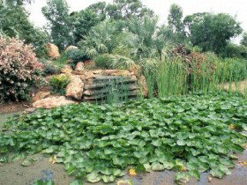 Mackenzie Park - Tourism Search 0