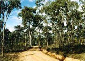 Paddys Ranges State Park - Tourism Search 0