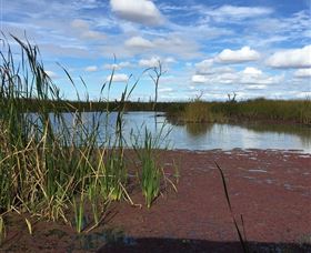 Gwydir Wetlands - Tourism Search 0