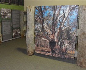 Barmah Forest Heritage And Education Centre - Tourism Search 2
