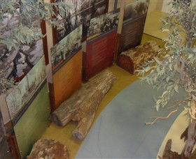 Barmah Forest Heritage And Education Centre - Tourism Search 4