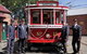 Bendigo Tramways Vintage Talking Tram - thumb 2