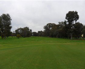 Nathalia Golf Club - Tourism Search 0
