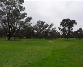 Nathalia Golf Club - Tourism Search 1