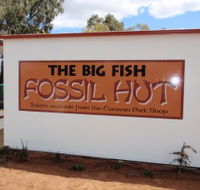 Big Fish Fossil Hut at Peak Hill - Tourism Search