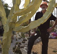 Cactus Country - Tourism Search