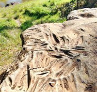 Terramungamine Rock Grooves - Tourism Search