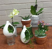 Cobram Florist - Tourism Search