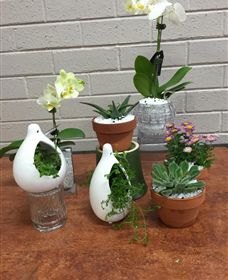 Cobram Florist - Tourism Search 0