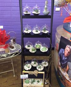 Cobram Florist - Tourism Search 3