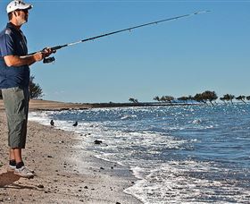 Dugong Sanctuary - Clairview - Tourism Search 3