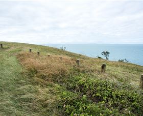 Cape Palmerston National Park - Tourism Search 3