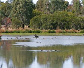 Tatura East ACT Tourism Search