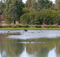 Cussen Park - Tourism Search