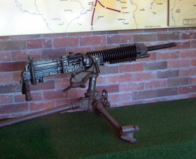 Woodpecker Gun - Tourism Search 0