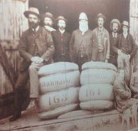 Greens Gunyah Museum - Tourism Search