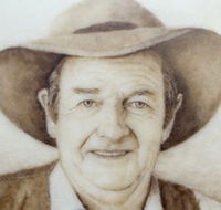 Doris Golder Wool Art Gallery - Tourism Search