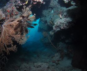 Luncheon Bay Dive Site - Tourism Search 2