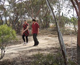 Tamma Parkland - Tourism Search 0