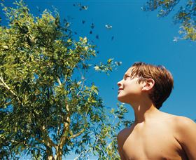 Bushwalking On Keswick Island - Tourism Search 0