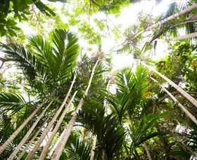 Bushwalking On Keswick Island - Tourism Search 1