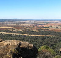 Basin Gully to Eualdrie lookout track - Tourism Search